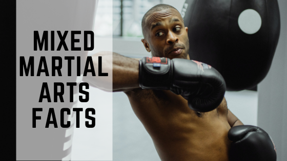 10 Interesting Facts about Mixed Martial Arts