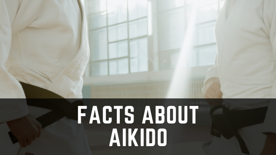17 Interesting Facts about Aikido